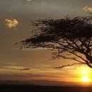 Karibu in Kenya 2020